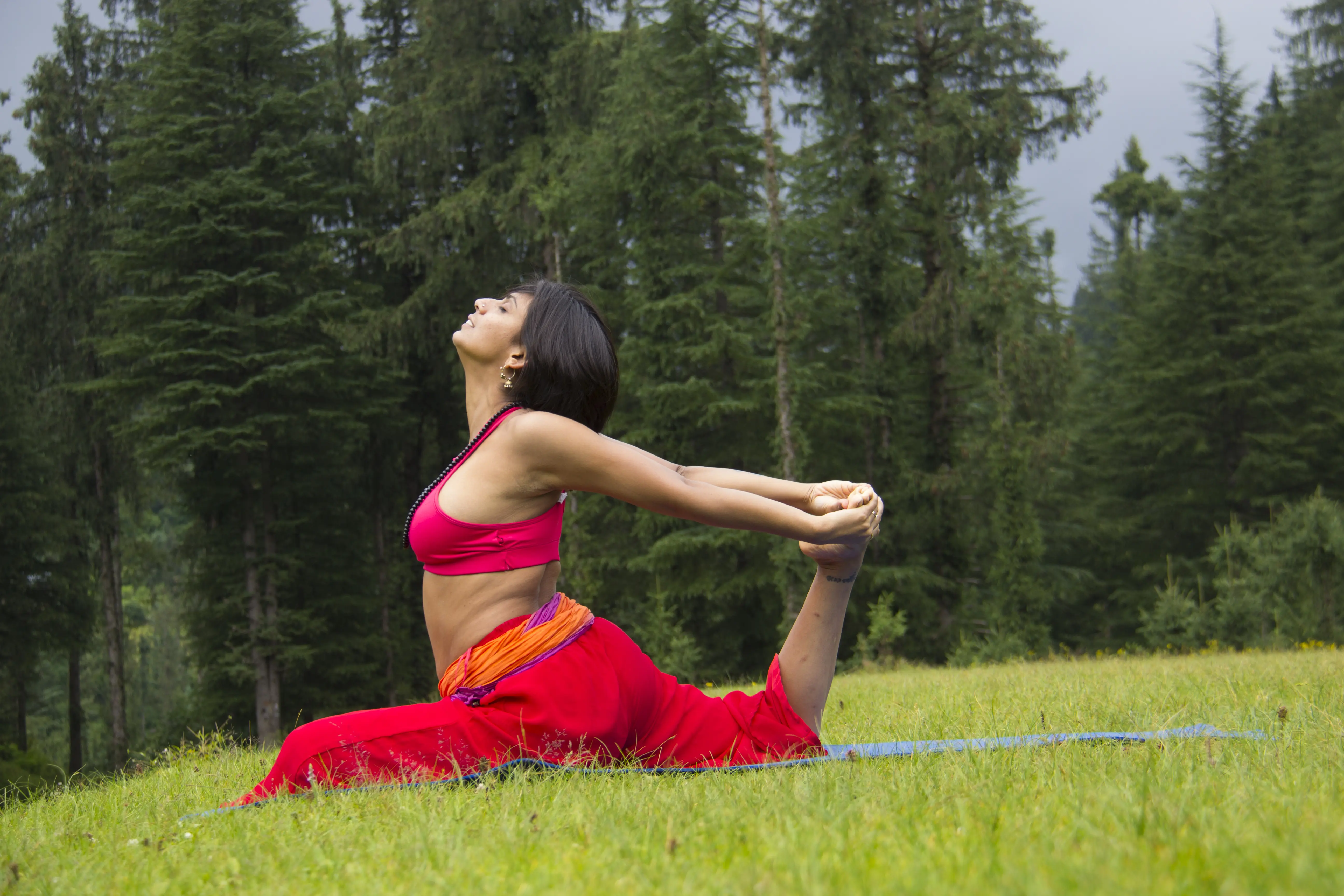Himani